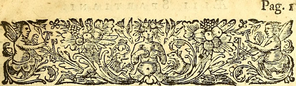 An illustration from Historiæ Augustæ scriptores VI : Ælius Spartianus. Vulc. Gallicanus. Julius Capitolinus. Trebell. Pollio. Ælius Lampridius. Flavius Vopiscus, 1661, leaf 14