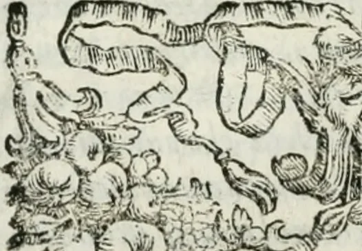 An illustration from Historia veneta, 1680, leaf 43
