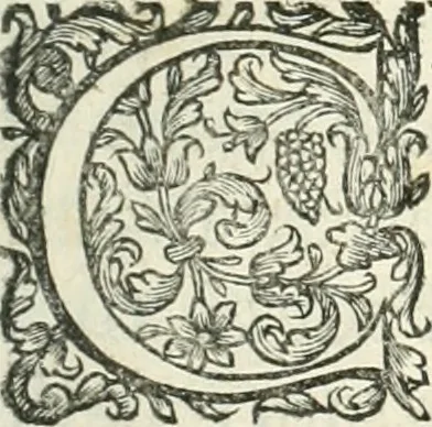 An illustration from Historia veneta, 1680, leaf 10
