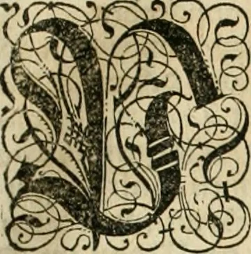 An illustration from Historia vnnd Beschreibung influentischer, elementischer vnd natürlicher Wirckungen, aller fremden vnnd heimischen Erdgewechssen ..., 1578, leaf 100
