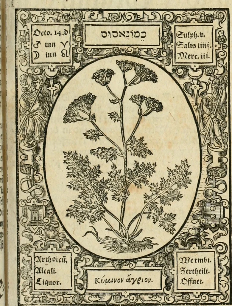 An illustration from Historia vnnd Beschreibung influentischer, elementischer vnd natürlicher Wirckungen, aller fremden vnnd heimischen Erdgewechssen ..., 1578, leaf 100