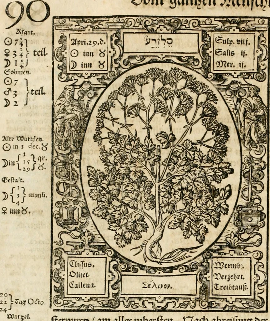 An illustration from Historia vnnd Beschreibung influentischer, elementischer vnd natürlicher Wirckungen, aller fremden vnnd heimischen Erdgewechssen ..., 1578, leaf 105