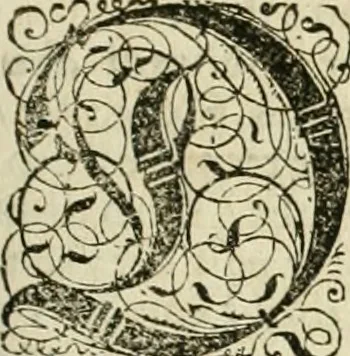 An illustration from Historia vnnd Beschreibung influentischer, elementischer vnd natürlicher Wirckungen, aller fremden vnnd heimischen Erdgewechssen ..., 1578, leaf 112