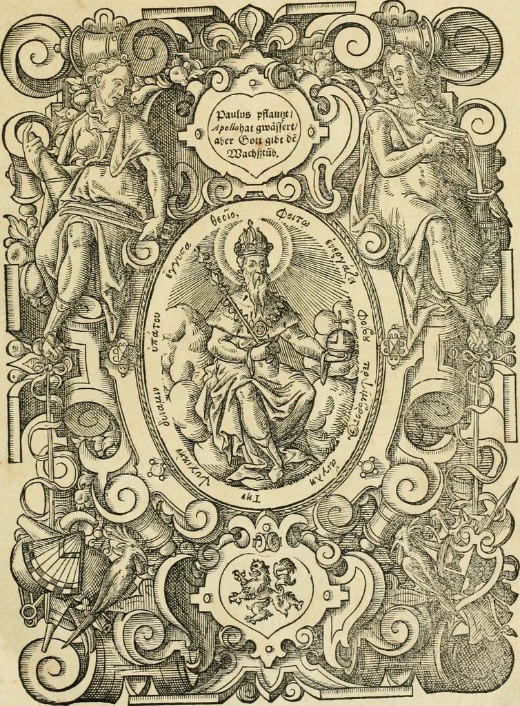 An illustration from Historia vnnd Beschreibung influentischer, elementischer vnd natürlicher Wirckungen, aller fremden vnnd heimischen Erdgewechssen ..., 1578, leaf 12