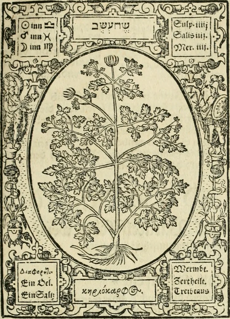 An illustration from Historia vnnd Beschreibung influentischer, elementischer vnd natürlicher Wirckungen, aller fremden vnnd heimischen Erdgewechssen ..., 1578, leaf 122