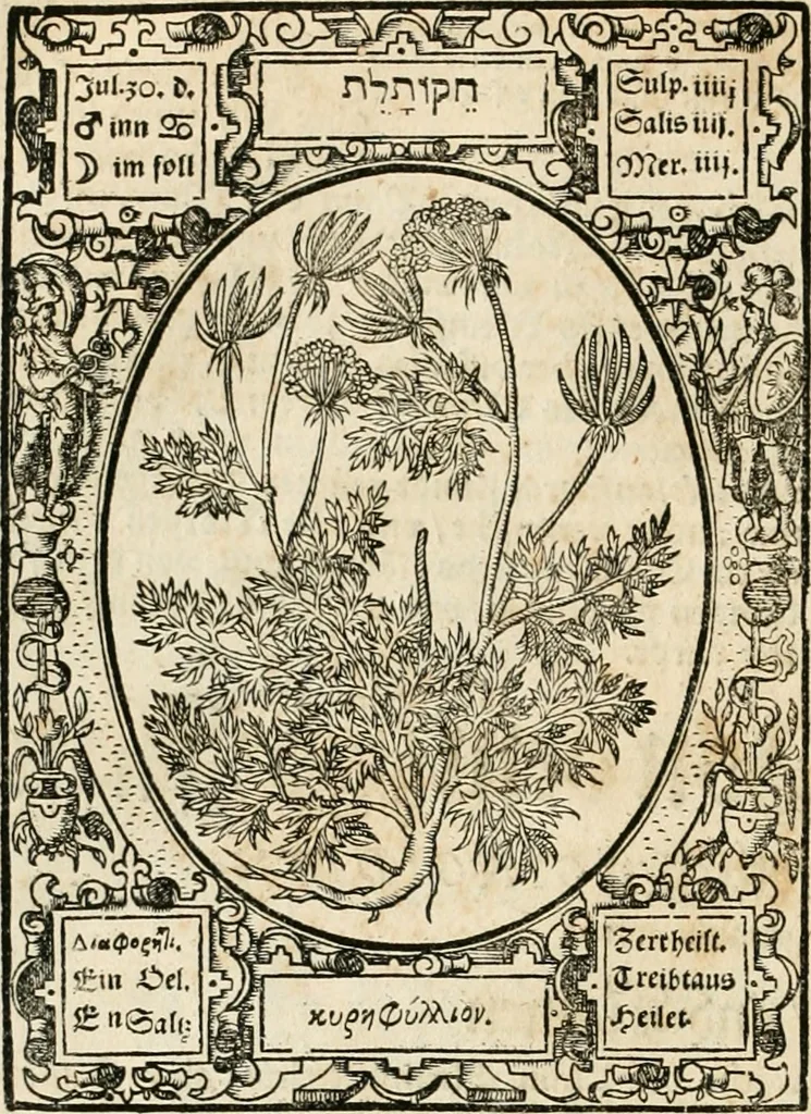 An illustration from Historia vnnd Beschreibung influentischer, elementischer vnd natürlicher Wirckungen, aller fremden vnnd heimischen Erdgewechssen ..., 1578, leaf 127