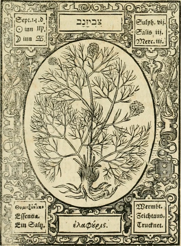 An illustration from Historia vnnd Beschreibung influentischer, elementischer vnd natürlicher Wirckungen, aller fremden vnnd heimischen Erdgewechssen ..., 1578, leaf 132