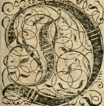 An illustration from Historia vnnd Beschreibung influentischer, elementischer vnd natürlicher Wirckungen, aller fremden vnnd heimischen Erdgewechssen ..., 1578, leaf 136