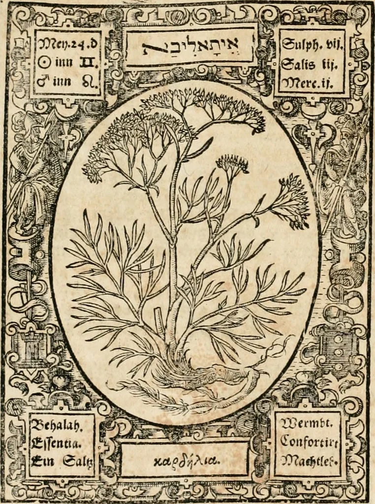 An illustration from Historia vnnd Beschreibung influentischer, elementischer vnd natürlicher Wirckungen, aller fremden vnnd heimischen Erdgewechssen ..., 1578, leaf 137