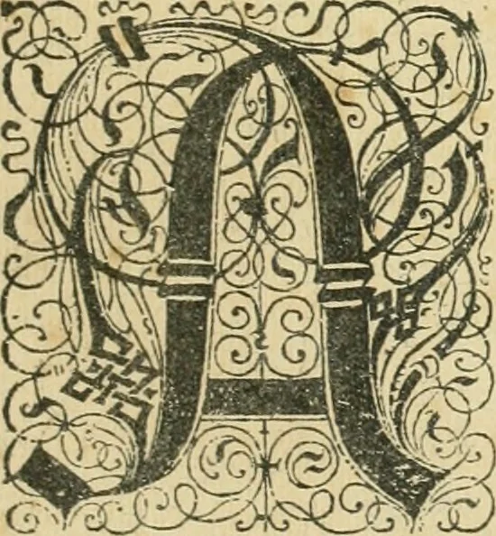 An illustration from Historia vnnd Beschreibung influentischer, elementischer vnd natürlicher Wirckungen, aller fremden vnnd heimischen Erdgewechssen ..., 1578, leaf 14