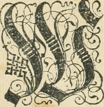 An illustration from Historia vnnd Beschreibung influentischer, elementischer vnd natürlicher Wirckungen, aller fremden vnnd heimischen Erdgewechssen ..., 1578, leaf 15
