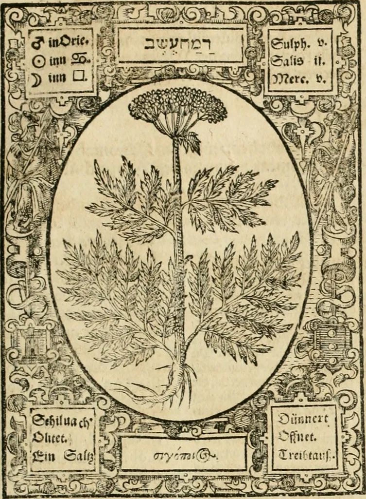 An illustration from Historia vnnd Beschreibung influentischer, elementischer vnd natürlicher Wirckungen, aller fremden vnnd heimischen Erdgewechssen ..., 1578, leaf 156
