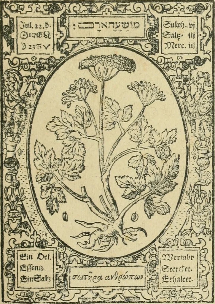 An illustration from Historia vnnd Beschreibung influentischer, elementischer vnd natürlicher Wirckungen, aller fremden vnnd heimischen Erdgewechssen ..., 1578, leaf 16