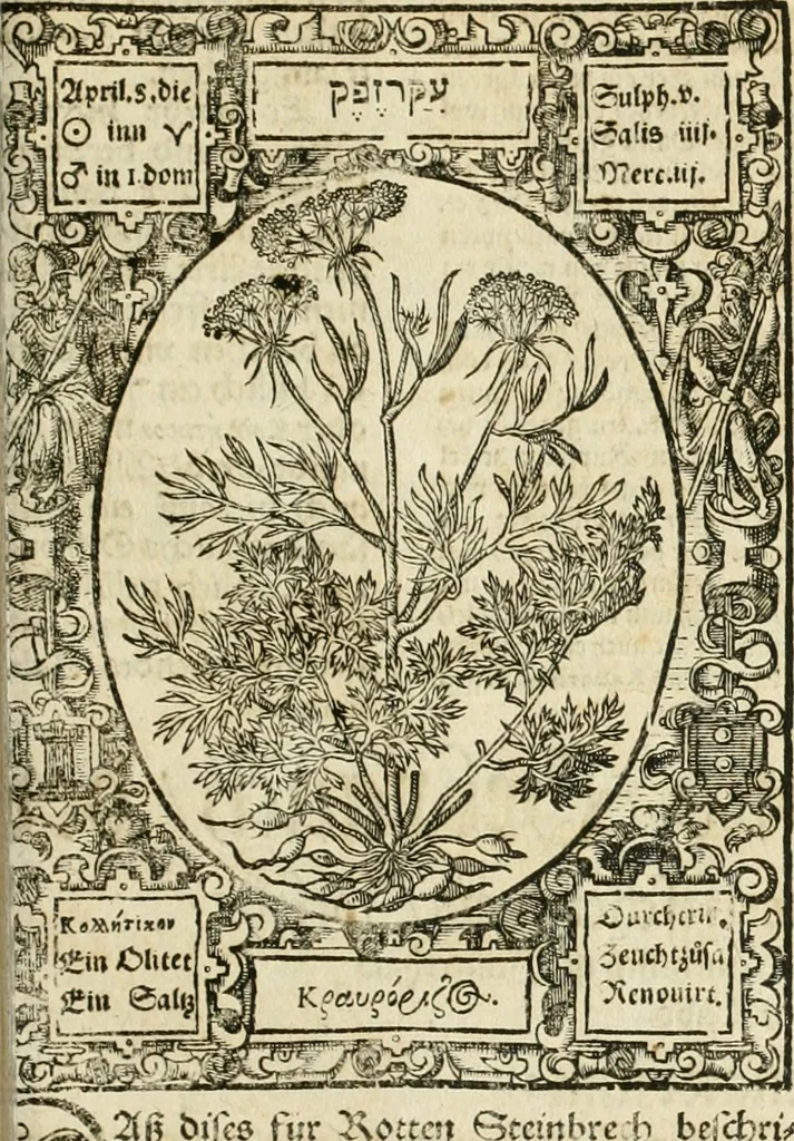 An illustration from Historia vnnd Beschreibung influentischer, elementischer vnd natürlicher Wirckungen, aller fremden vnnd heimischen Erdgewechssen ..., 1578, leaf 160