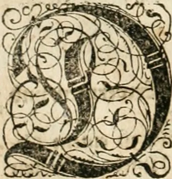 An illustration from Historia vnnd Beschreibung influentischer, elementischer vnd natürlicher Wirckungen, aller fremden vnnd heimischen Erdgewechssen ..., 1578, leaf 163