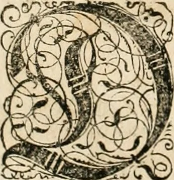An illustration from Historia vnnd Beschreibung influentischer, elementischer vnd natürlicher Wirckungen, aller fremden vnnd heimischen Erdgewechssen ..., 1578, leaf 167