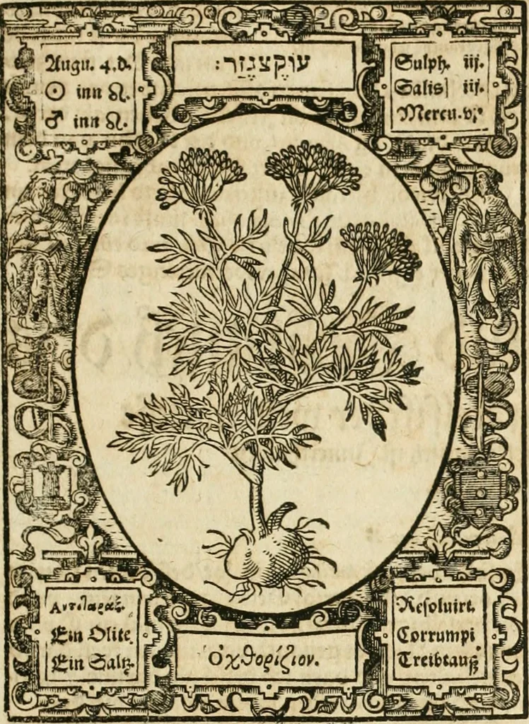An illustration from Historia vnnd Beschreibung influentischer, elementischer vnd natürlicher Wirckungen, aller fremden vnnd heimischen Erdgewechssen ..., 1578, leaf 168