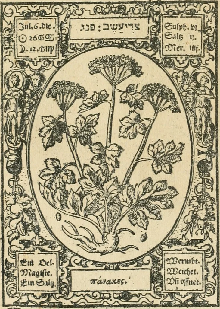 An illustration from Historia vnnd Beschreibung influentischer, elementischer vnd natürlicher Wirckungen, aller fremden vnnd heimischen Erdgewechssen ..., 1578, leaf 23