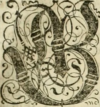 An illustration from Historia vnnd Beschreibung influentischer, elementischer vnd natürlicher Wirckungen, aller fremden vnnd heimischen Erdgewechssen ..., 1578, leaf 32
