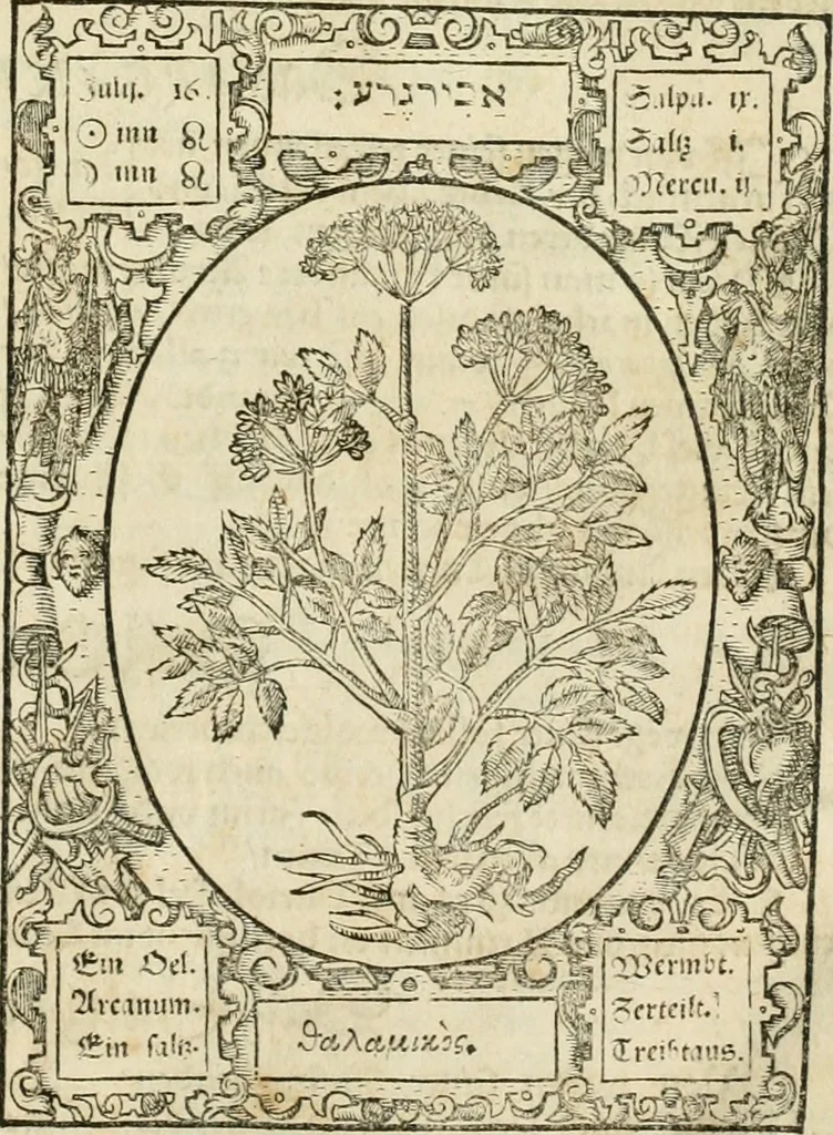An illustration from Historia vnnd Beschreibung influentischer, elementischer vnd natürlicher Wirckungen, aller fremden vnnd heimischen Erdgewechssen ..., 1578, leaf 32
