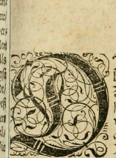 An illustration from Historia vnnd Beschreibung influentischer, elementischer vnd natürlicher Wirckungen, aller fremden vnnd heimischen Erdgewechssen ..., 1578, leaf 36