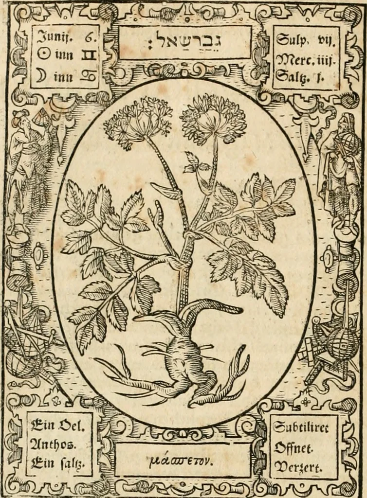 An illustration from Historia vnnd Beschreibung influentischer, elementischer vnd natürlicher Wirckungen, aller fremden vnnd heimischen Erdgewechssen ..., 1578, leaf 37