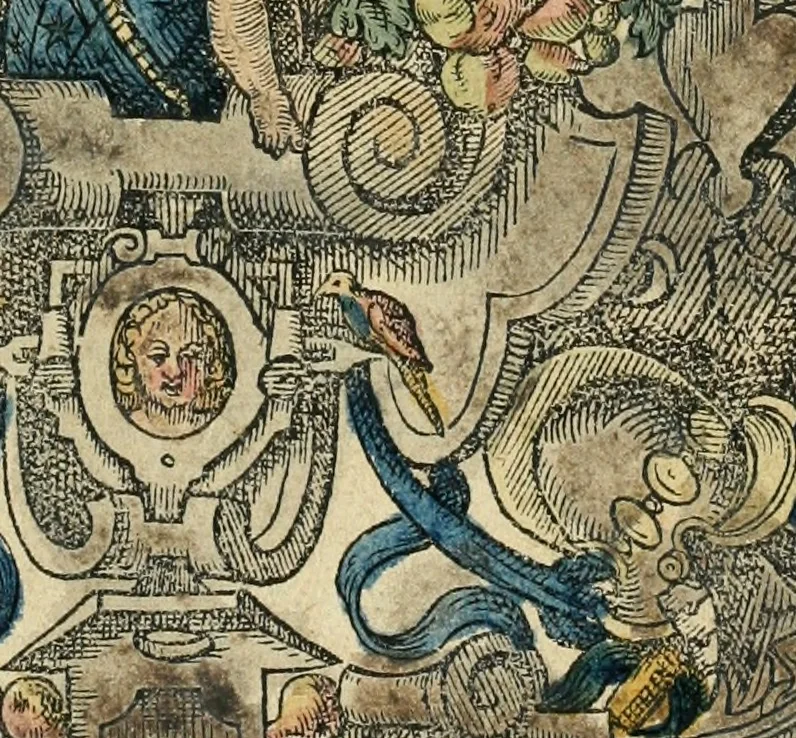 An illustration from Historia vnnd Beschreibung influentischer, elementischer vnd natürlicher Wirckungen, aller fremden vnnd heimischen Erdgewechssen ..., 1578, leaf 4