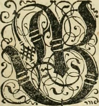 An illustration from Historia vnnd Beschreibung influentischer, elementischer vnd natürlicher Wirckungen, aller fremden vnnd heimischen Erdgewechssen ..., 1578, leaf 44