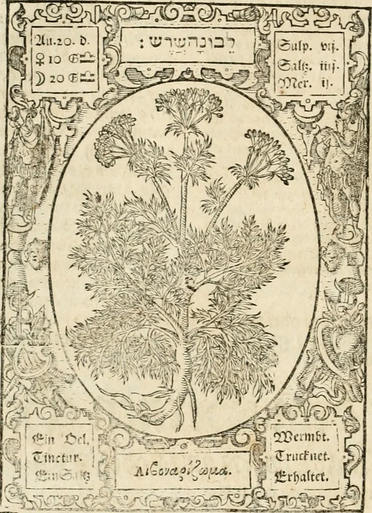 An illustration from Historia vnnd Beschreibung influentischer, elementischer vnd natürlicher Wirckungen, aller fremden vnnd heimischen Erdgewechssen ..., 1578, leaf 45
