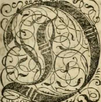An illustration from Historia vnnd Beschreibung influentischer, elementischer vnd natürlicher Wirckungen, aller fremden vnnd heimischen Erdgewechssen ..., 1578, leaf 48
