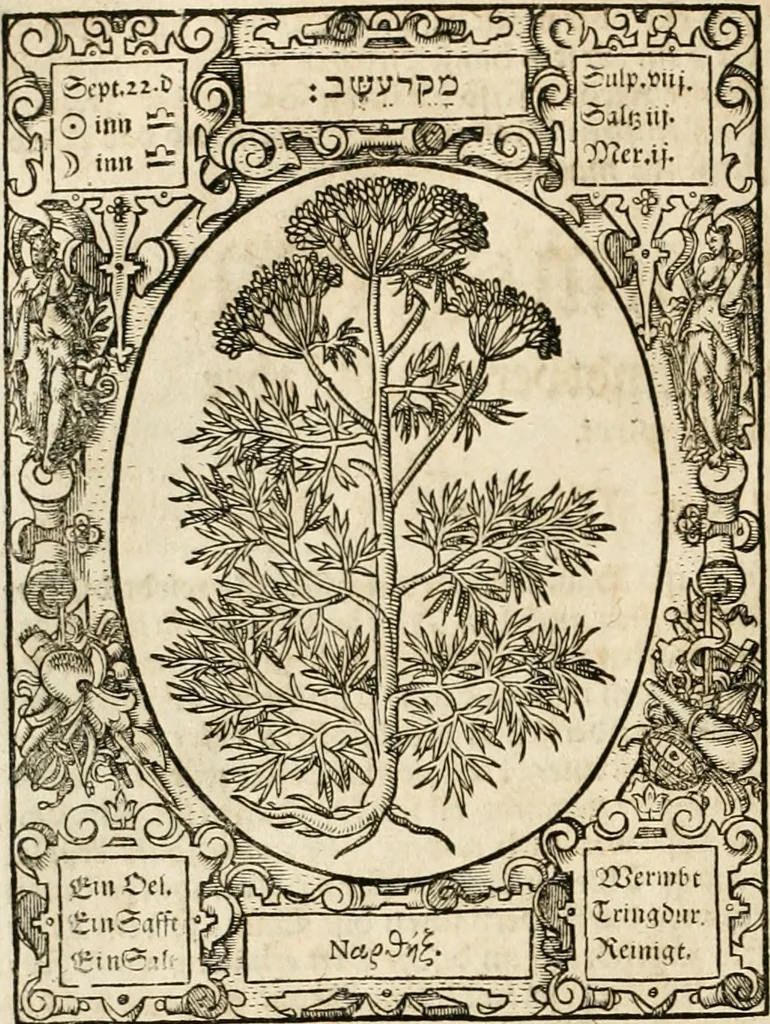 An illustration from Historia vnnd Beschreibung influentischer, elementischer vnd natürlicher Wirckungen, aller fremden vnnd heimischen Erdgewechssen ..., 1578, leaf 53