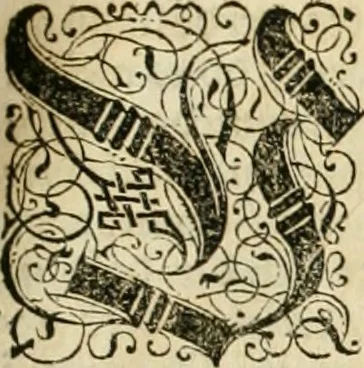 An illustration from Historia vnnd Beschreibung influentischer, elementischer vnd natürlicher Wirckungen, aller fremden vnnd heimischen Erdgewechssen ..., 1578, leaf 56