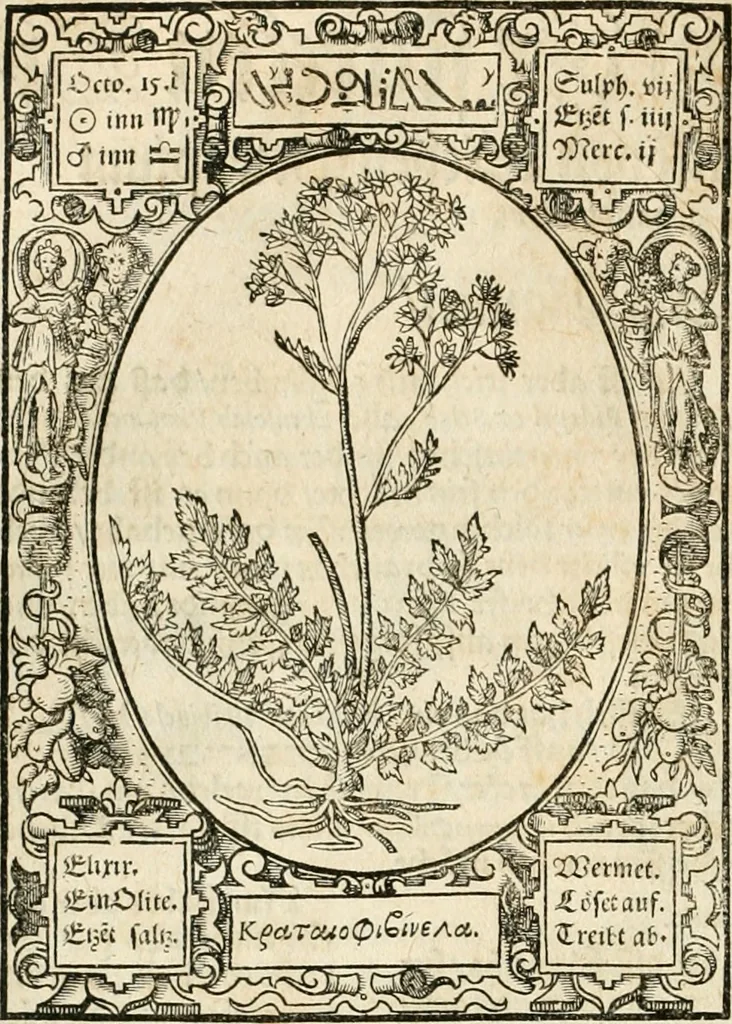 An illustration from Historia vnnd Beschreibung influentischer, elementischer vnd natürlicher Wirckungen, aller fremden vnnd heimischen Erdgewechssen ..., 1578, leaf 57