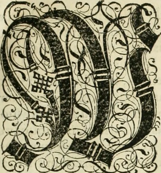 An illustration from Historia vnnd Beschreibung influentischer, elementischer vnd natürlicher Wirckungen, aller fremden vnnd heimischen Erdgewechssen ..., 1578, leaf 6