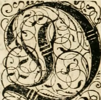 An illustration from Historia vnnd Beschreibung influentischer, elementischer vnd natürlicher Wirckungen, aller fremden vnnd heimischen Erdgewechssen ..., 1578, leaf 65