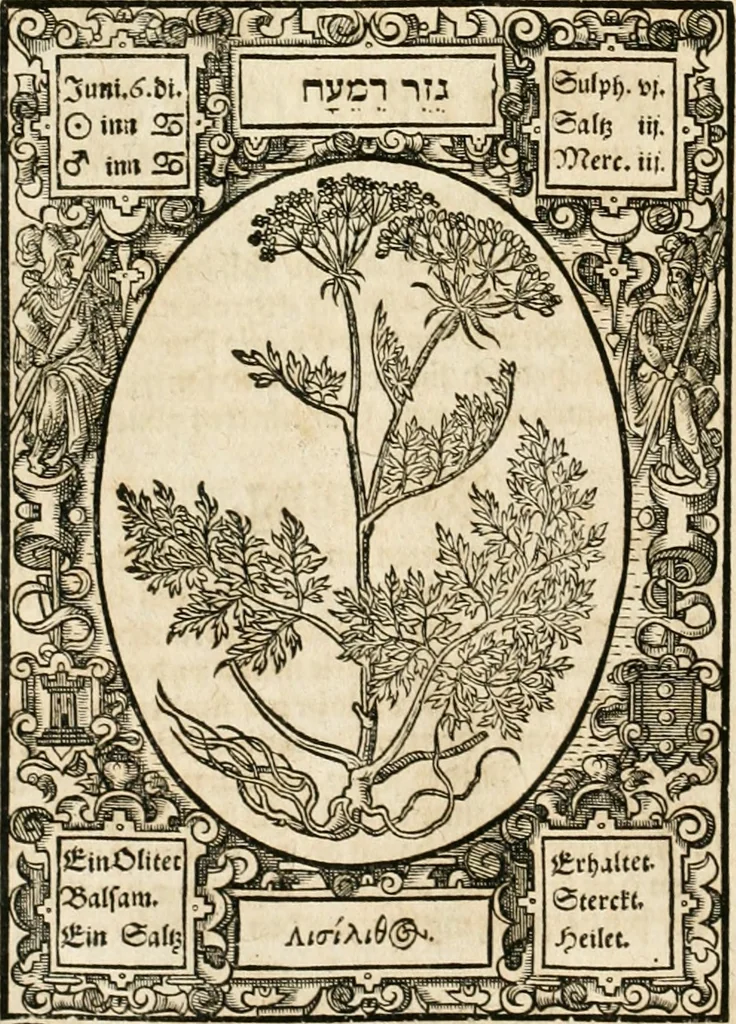 An illustration from Historia vnnd Beschreibung influentischer, elementischer vnd natürlicher Wirckungen, aller fremden vnnd heimischen Erdgewechssen ..., 1578, leaf 69