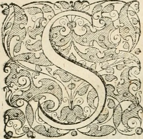 An illustration from Historia vnnd Beschreibung influentischer, elementischer vnd natürlicher Wirckungen, aller fremden vnnd heimischen Erdgewechssen ..., 1578, leaf 7
