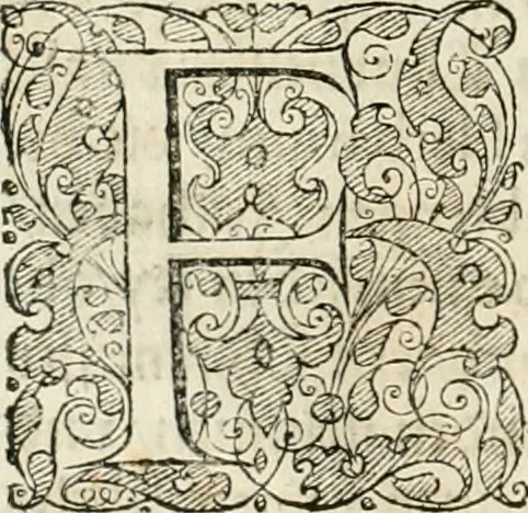 An illustration from Historia vnnd Beschreibung influentischer, elementischer vnd natürlicher Wirckungen, aller fremden vnnd heimischen Erdgewechssen ..., 1578, leaf 7