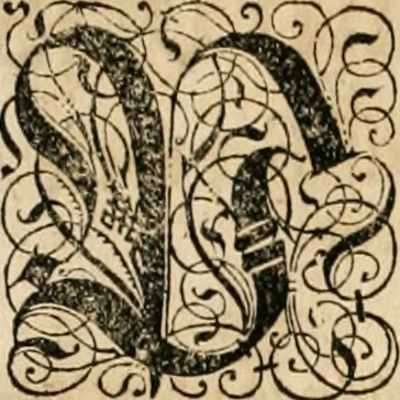 An illustration from Historia vnnd Beschreibung influentischer, elementischer vnd natürlicher Wirckungen, aller fremden vnnd heimischen Erdgewechssen ..., 1578, leaf 73