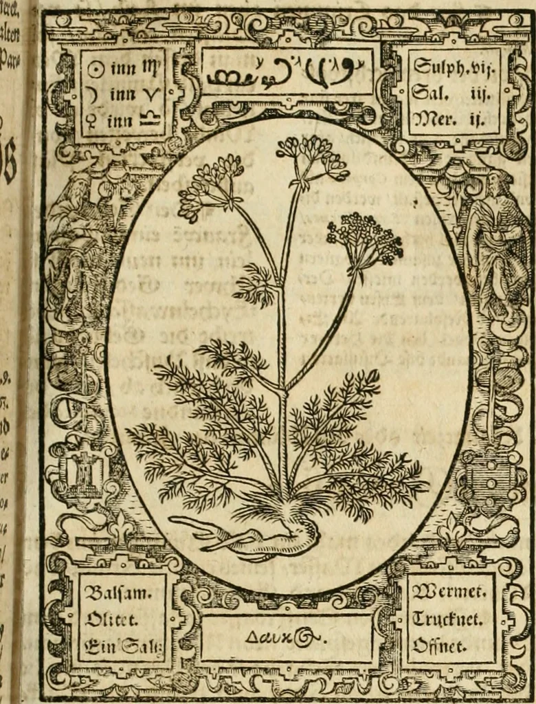 An illustration from Historia vnnd Beschreibung influentischer, elementischer vnd natürlicher Wirckungen, aller fremden vnnd heimischen Erdgewechssen ..., 1578, leaf 74