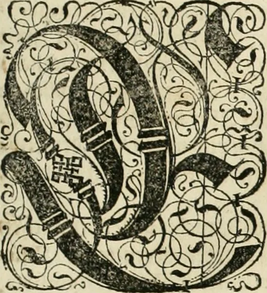 An illustration from Historia vnnd Beschreibung influentischer, elementischer vnd natürlicher Wirckungen, aller fremden vnnd heimischen Erdgewechssen ..., 1578, leaf 8