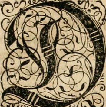 An illustration from Historia vnnd Beschreibung influentischer, elementischer vnd natürlicher Wirckungen, aller fremden vnnd heimischen Erdgewechssen ..., 1578, leaf 81
