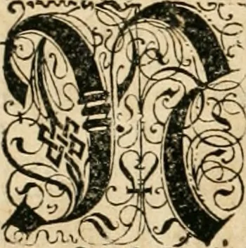 An illustration from Historia vnnd Beschreibung influentischer, elementischer vnd natürlicher Wirckungen, aller fremden vnnd heimischen Erdgewechssen ..., 1578, leaf 85