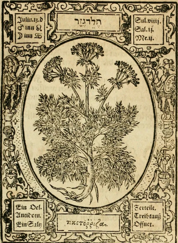 An illustration from Historia vnnd Beschreibung influentischer, elementischer vnd natürlicher Wirckungen, aller fremden vnnd heimischen Erdgewechssen ..., 1578, leaf 86