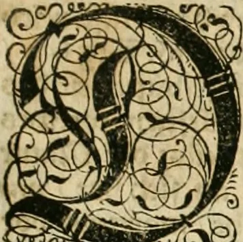 An illustration from Historia vnnd Beschreibung influentischer, elementischer vnd natürlicher Wirckungen, aller fremden vnnd heimischen Erdgewechssen ..., 1578, leaf 92