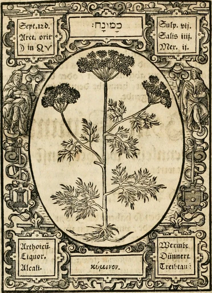 An illustration from Historia vnnd Beschreibung influentischer, elementischer vnd natürlicher Wirckungen, aller fremden vnnd heimischen Erdgewechssen ..., 1578, leaf 93