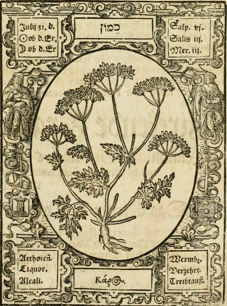 An illustration from Historia vnnd Beschreibung influentischer, elementischer vnd natürlicher Wirckungen, aller fremden vnnd heimischen Erdgewechssen ..., 1578, leaf 96