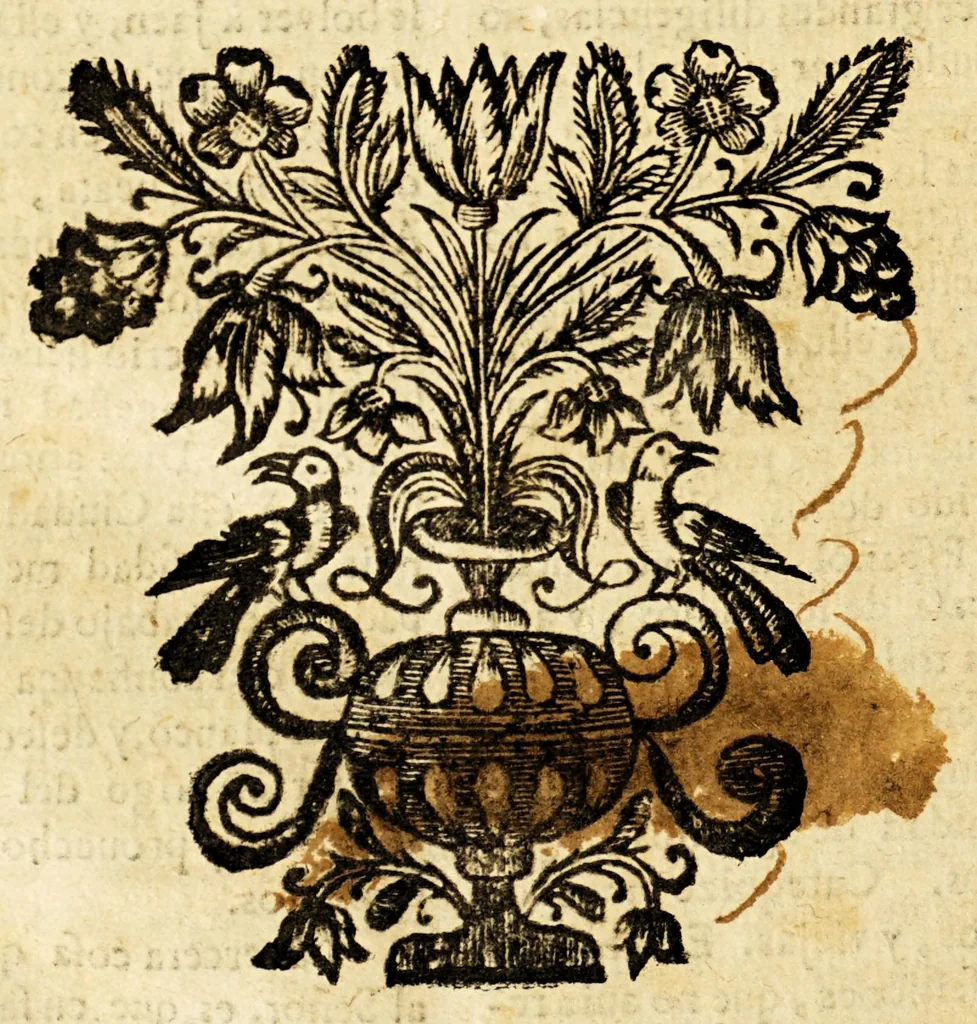 An illustration from Historia, y viage del mundo del clerigo agradecido don Pedro Ordoñez de Zevallos, natural de la insigne ciudad de Jaen, à las cinco partes de la Europa, Africa, Asia, America, y Magalanica, con el itinerario de todo èl. ., 1691, leaf 354
