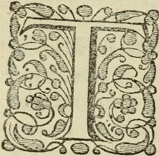 An illustration from Historica descriptio complectens vitam, ac res gestas beatissimi viri Gulielmi Wicami .., 1690, leaf 111