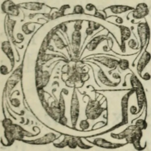 An illustration from Historica descriptio complectens vitam, ac res gestas beatissimi viri Gulielmi Wicami .., 1690, leaf 14